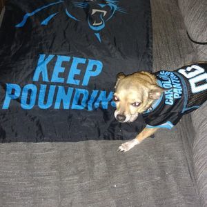 Meet your Posher, Vicki